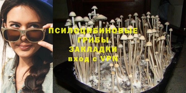 экстази Няндома