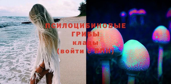 экстази Няндома